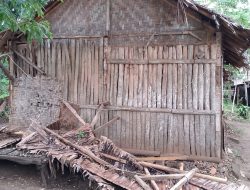 Miris Rumah Janda Di Wanasalam Tak layak Huni:Tak Pernah Mendapatkan Perhatian Dari Pemerintah
