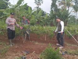 Gunakan Lahan Tidur: Polres Cimahi Ajak Masyarakat Tanam Sayuran Di Pekarangan Rumah