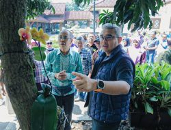 Konservasi Anggrek, Langkah Kecil Kembalikan Bandung Kota Kembang