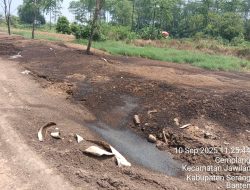 Warga Desa Nanggung Resah, Limbah Kotoran Unggas Timbulkan Bau Menyengat dan Serbuan Lalat