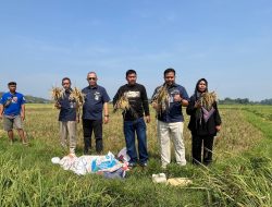 BULOG pastikan serap gabah petani sesuai arahan pemerintah serta mendukung Program KDMP dan MBG. – OKTOBER 2025
