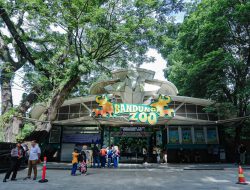 Bandung Zoo Ditutup Sementara, Pemkot Dorong Penyelesaian Damai Dua Pihak Yayasan